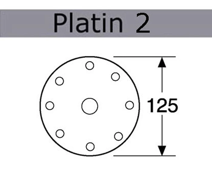 Festool Platin 2 5" Diameter Sanding Disks