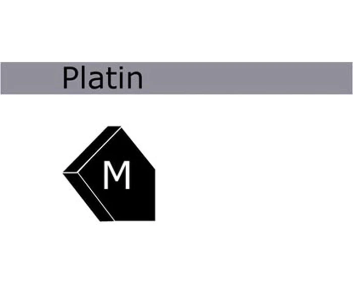FESTOOL Platin-2 6" Diameter Sanding Disks